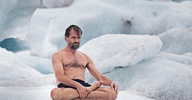 Embrace The Cold image