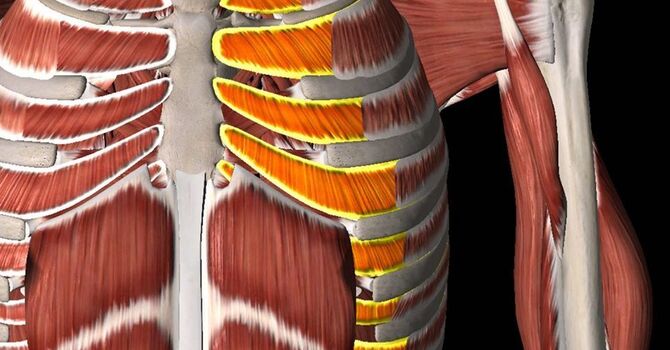 Into the Unknown… image