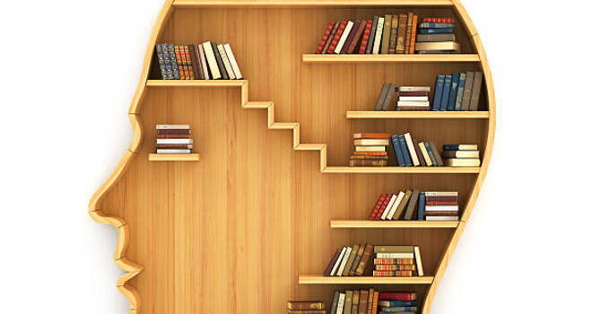 Acorn Earthroamer Slipperthotics image