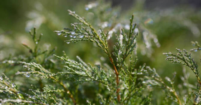 NEW FALL HOURS STARTING image