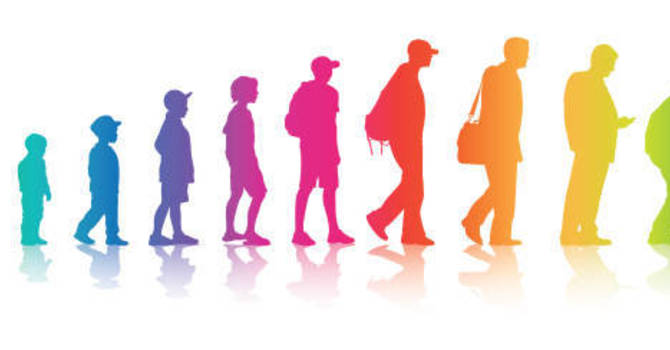 The Slow Postural Cook image